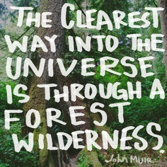 ... Way Into The Universe Is Through A Forest Wilderness - John Muir
