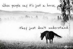 Unless you have a horse and have experienced these animals for ...