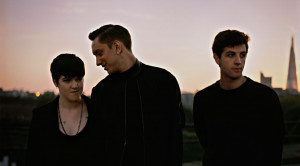 The XX 12