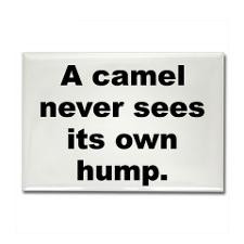 Quotable quotes Rectangle Magnet