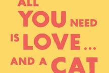 Cat Sayings / by SoCal Cat Adoption Tails