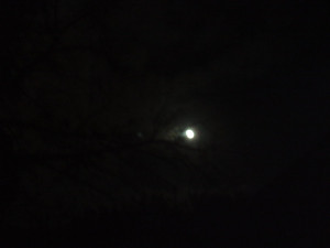 moon_high_in_the_sky_by_bearie23-d33f930.jpg