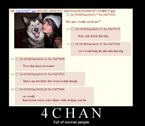 Link to 4chan