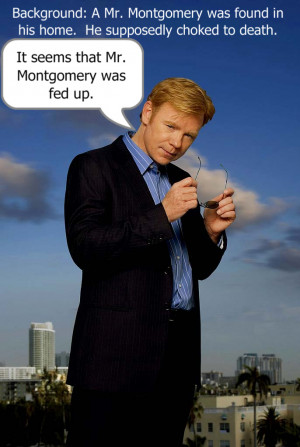 Horatio Caine One Liners Jokes Horatio caine one-liner 2 by