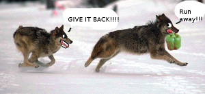 ... description funny klan funny alf pictures funny icons and quotes funny