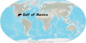 Gulf Of Mexico Map picture