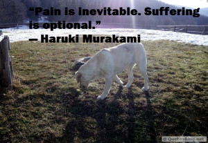 tag archives image splendid quote splendid pain quote image