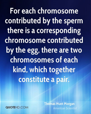 ... chromosome contributed by the egg, there are two chromosomes of each