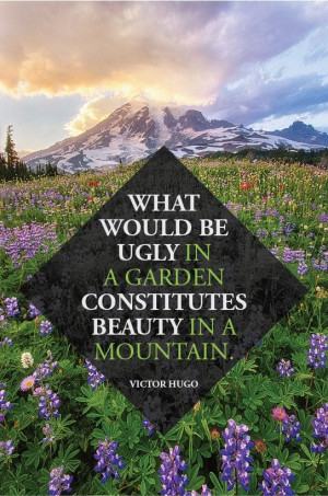 Victor Hugo #quotes