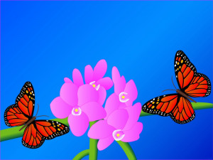 The best top desktop butterflies wallpaper hd butterfly wallpaper 13 ...