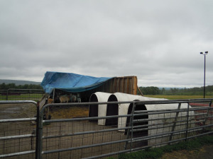 ... post tornado temporary shelter has been set up for the goats