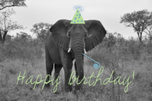 African Happy Birthday Quotes. QuotesGram