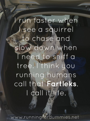 According to Ollie: Running Lessons From My Dog