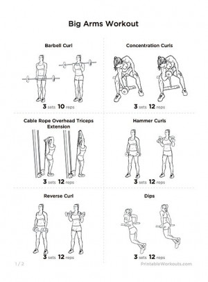 : http://workoutlabs.com/workout-plans/big-arms-workout-with-biceps ...