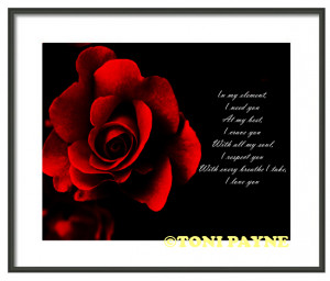 Red Rose Inspirational Love Quote Gallery Wrapped Canvas or Rolled ...