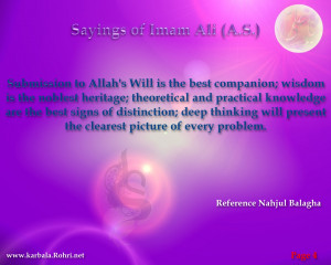 Submission to Allah’s Will is the best companion; wisdom is