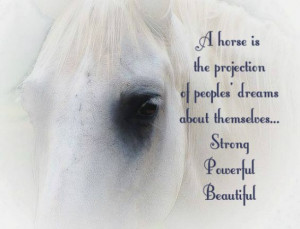 ... from our mundane existence. ~Pam Brown #quotes #inspirational #horses