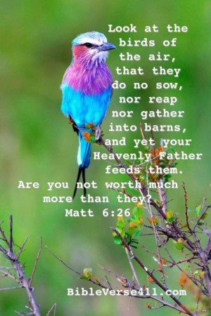 Look at the birds of the air... your Heavenly Father feeds them. Are ...