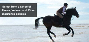 Horse, Veteran and Rider Insurance Policies | Petplan Equine