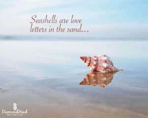 Seashells are love letters in the sand ♥♥♥ ocean beach quotes