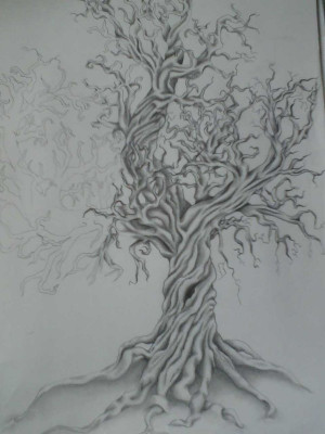 oak trees drawings