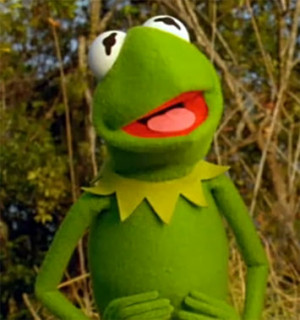 Muppetational Quarterfinal: Kermit the Frog VS Grover