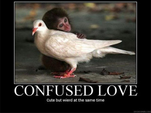 confused love Image