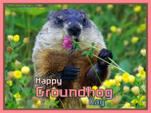 Happy Groundhog Day Quotes & Wishes Picture Cards