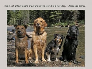 Dogs and People – Photos and Quotes for Dog Lovers, Part 3