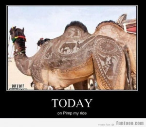 Pimp Quotes for Women http://funtooo.com/animals/today-on-pimp-my-ride ...