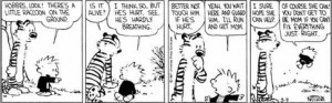 Calvin and Hobbes : What are the most profound quotes from the Calvin ...