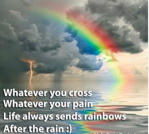 rainbows after the rain