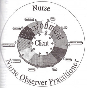 nursing notes on nursing