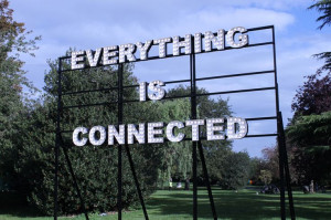Everything is connected.