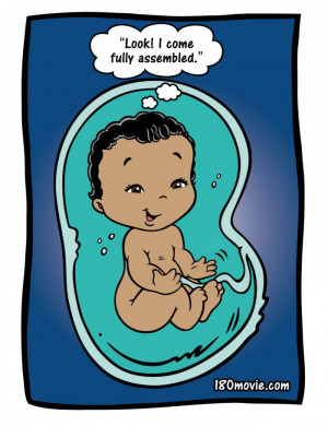 Cartoon Babies in Womb