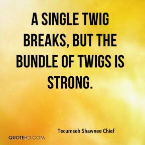 Tecumseh Shawnee Chief - A single twig breaks, but the bundle of twigs ...