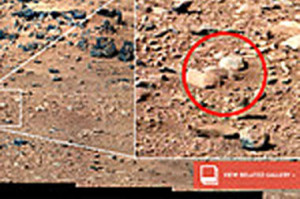 Mars rat? Another case of Red Planet pareidolia