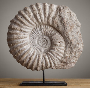 Large Ammonite Fossil Cast