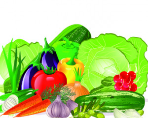 Fresh Vegetables Vector Set