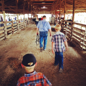 Show Mom Diaries: The empty halter