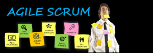 agile scrum agile training consulting