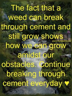 Weed pushing through the cracks of cement, diamonds forming from ...