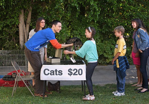 Sheldon and Amy are giving away cats and $20 to anyone who will take ...