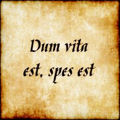 Latin Quotes About Life