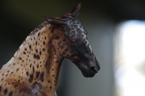 Wallpapers Appaloosa Movie Free Desktop Backgrounds 1680x1050 Picture