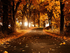 20 Beautiful Nature Wallpapers