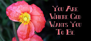 ... inspirational before they life quotes wonderful. Problems and