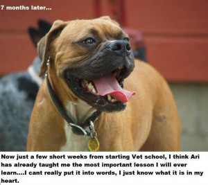 sad dog story 2 610x544 A Touching Story of One Dog