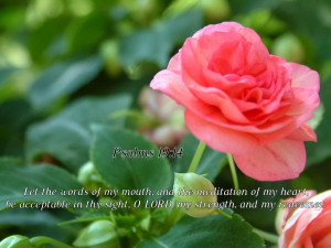 Let the words of my mouth, and the meditation of my heart be ...