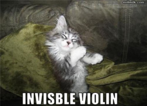 ... pic picture funny lolcat cute fun lovely photo images invisible violin